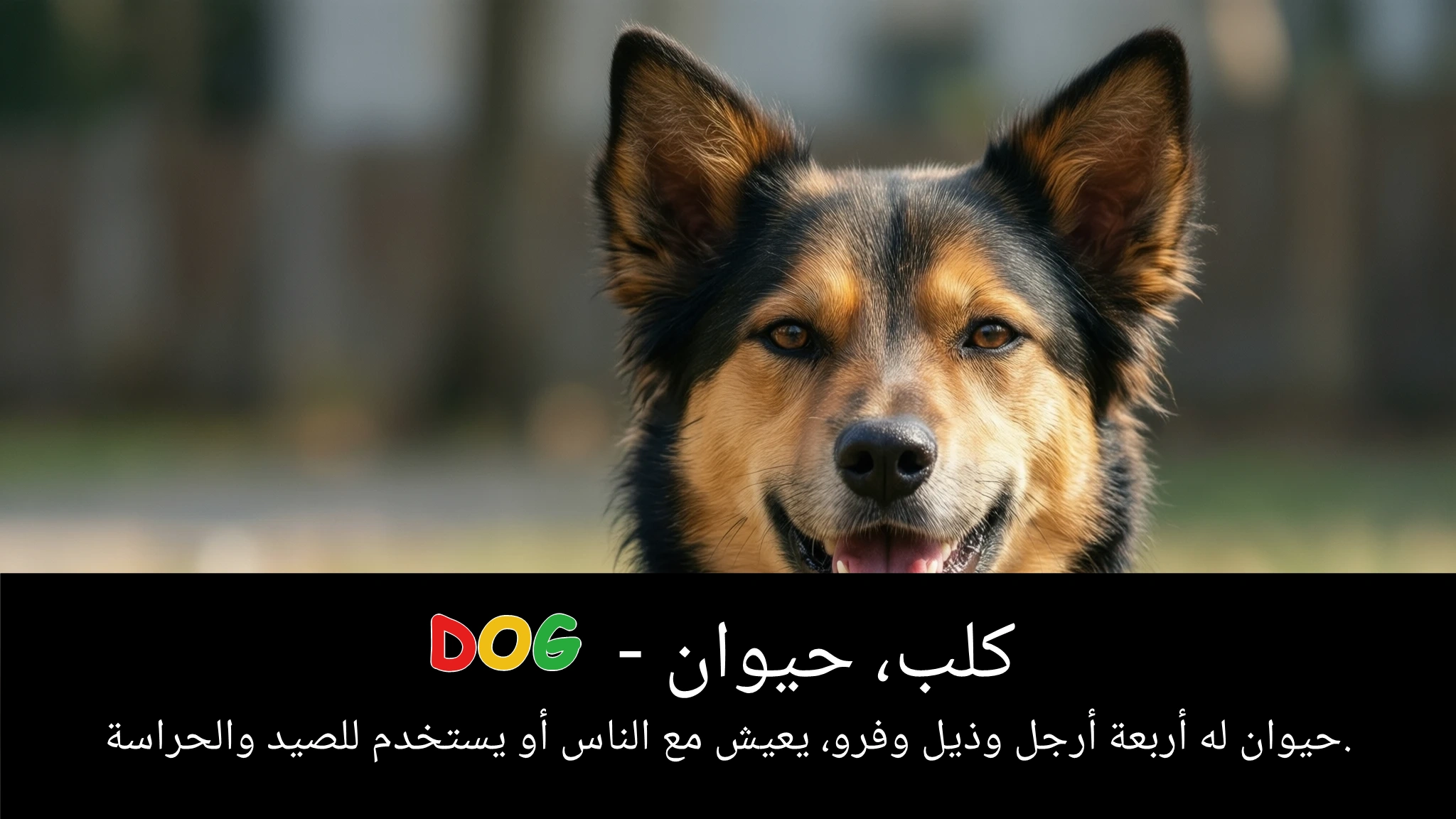 Arabic Illustration for dog